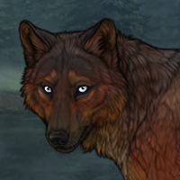 Rustpelt Headshot