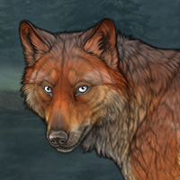 Wulfenite 2x orca Headshot