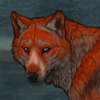 Herbalist Sitka Headshot