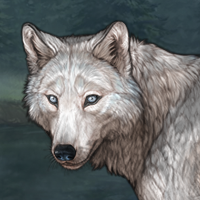 husky argent Headshot