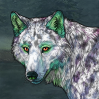 Tywyll Headshot