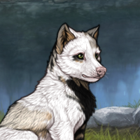 piebald: uneven Headshot