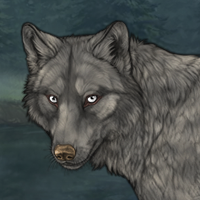 Nyki Headshot