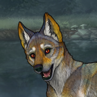 T2 Xan G3 Fox Eye Pup Headshot