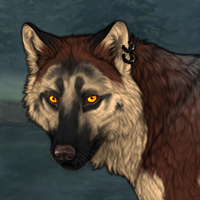 Wolf Headshot