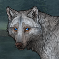 Silverpelt Headshot