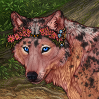 ❤️ Coma Berenices Headshot