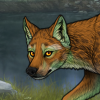 Brown Catshark chase Headshot