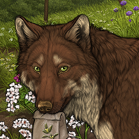 Wolf Headshot