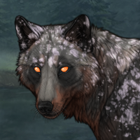 Lycan Headshot