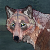 ☤ Kuisma Headshot