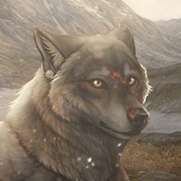 Wolf Headshot