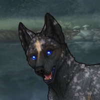 Enclave Pup Headshot