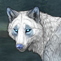 Spirt Headshot