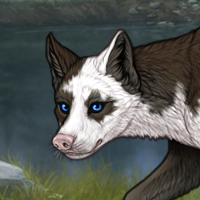 Piebald torn Headshot