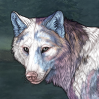 Piebald Uneven: Posted Headshot