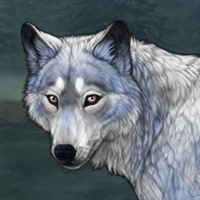 Bonechill Headshot