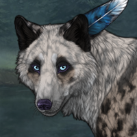 Speckled Spruce Headshot