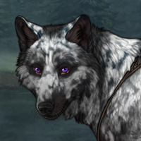 Wolf Headshot
