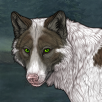 Skarn Biewer Piebald Headshot