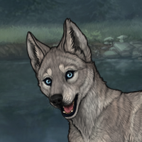 Enclave Puppy Headshot