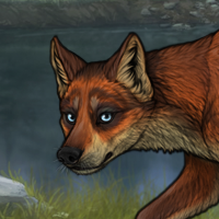 Female Fox Headshot