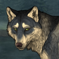 Wolf Headshot