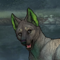 Chrysoberyl Pup Headshot