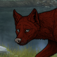 Red Dog Headshot