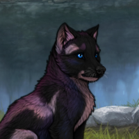 Auroras Swirling Nights Headshot