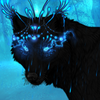 Wolf Headshot