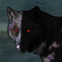 minervaa Headshot