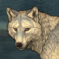 Wolf Headshot