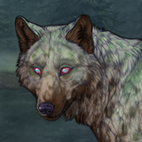 Moss Agate Headshot