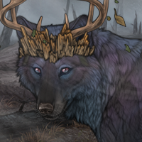*Echo of the Forest* Headshot