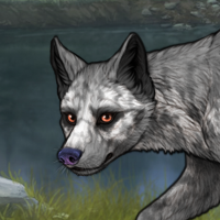 Argent possum Headshot