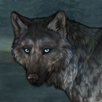 [C] Shell 8M 541 Headshot