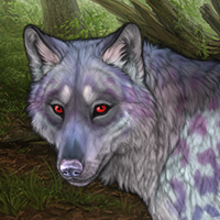 Elesh -A Headshot