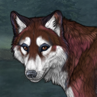 Oakbark Headshot