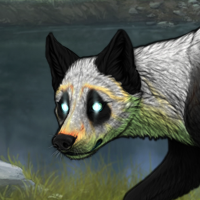 Wisp Panda Headshot