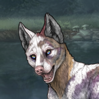 Piebald R&C Headshot