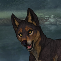 ((Pup))Sell Headshot