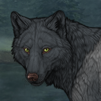 Wolf Headshot