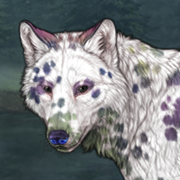 Pie dalmatian Headshot