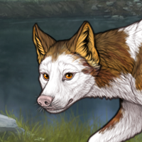 Piebald Frontal F Headshot