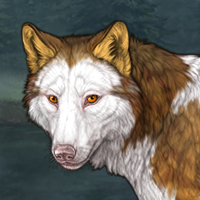 Piebald Frontal F Headshot