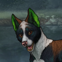 Kelpie Headshot