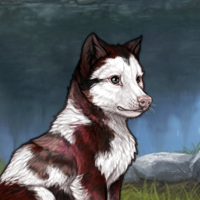 Piebald R&C Headshot