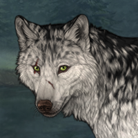 Wolf Headshot