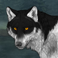 Wolf Headshot